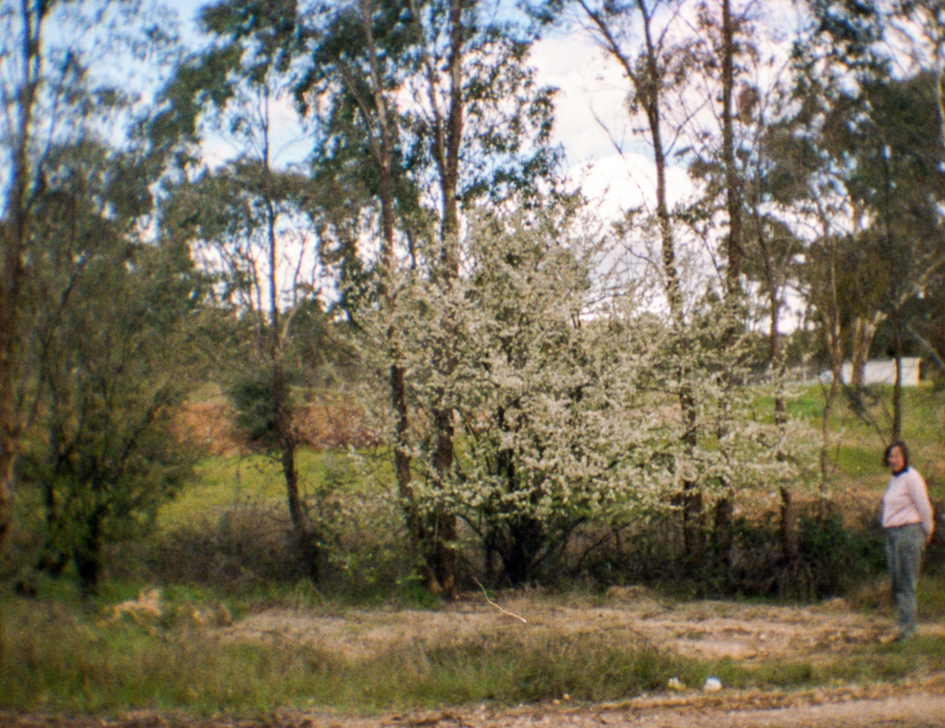 My first ever image, taken of my mum, taken on a 110 film cartridge, and then digitized. 